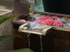 -瑞虹新天地月亮湾