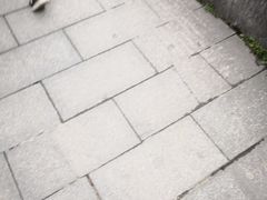 -明月山天沐温泉度假村