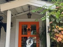 -TrueLove @ Neverland (Husky Cafe)