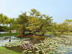 -中国科学院西双版纳热带植物园
