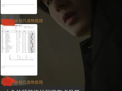 -创凡宠物医院·骨专科  猫科中心(西乡分院)