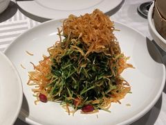 巧拌豆苗-四季民福烤鸭店(王府井灯市口店)