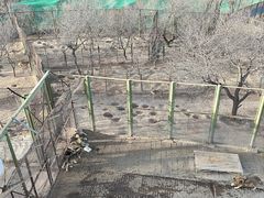 -青藏高原野生动物园
