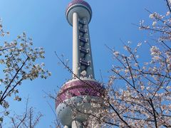 -东方明珠广播电视塔