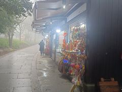 -普陀山风景区-佛顶山