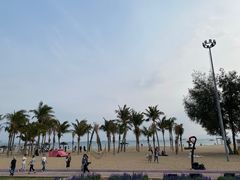 -玫瑰海岸文化旅游度假区