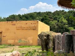 -沈阳森林动物园