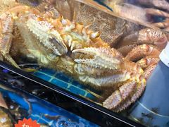 -吉友粥底火锅(方斜路店)