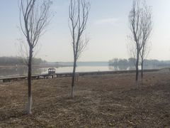 -西青郊野公园