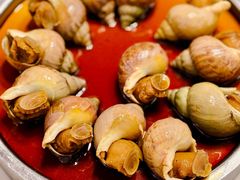 海螺-天然居(伦教店)