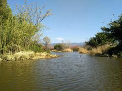 景点-西昌邛海湿地