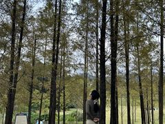 -牛岗山公园