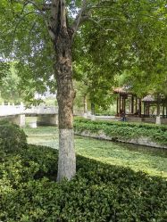 -盘子女人坊古装写真摄影(天津总店)