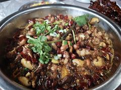 -食神又名厕所兔