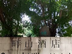 -畔山酒店中餐厅