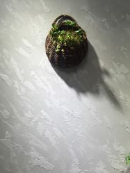 -思密达