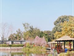 -成飞公园
