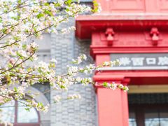-四川大学华西口腔医院(华西院区)