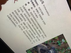 -四川大学博物馆