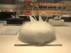 白天鹅-BLACKSWAN黑天鹅(环球店)