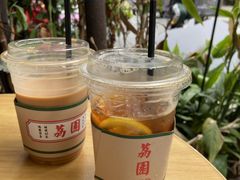 錫蘭檸檬茶-荔園 LaiYuen