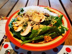 曼切格芝士菠菜蘑菇沙拉-TOMATITO(无限极荟店)