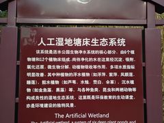 -成都市活水公园