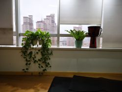 -Union瑜伽健康管理中心