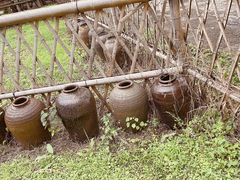 -长兴太湖图影湿地文化园