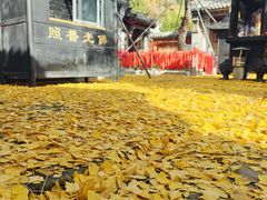-泰山风景名胜区-普照寺