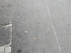 -江杨农产品批发市场