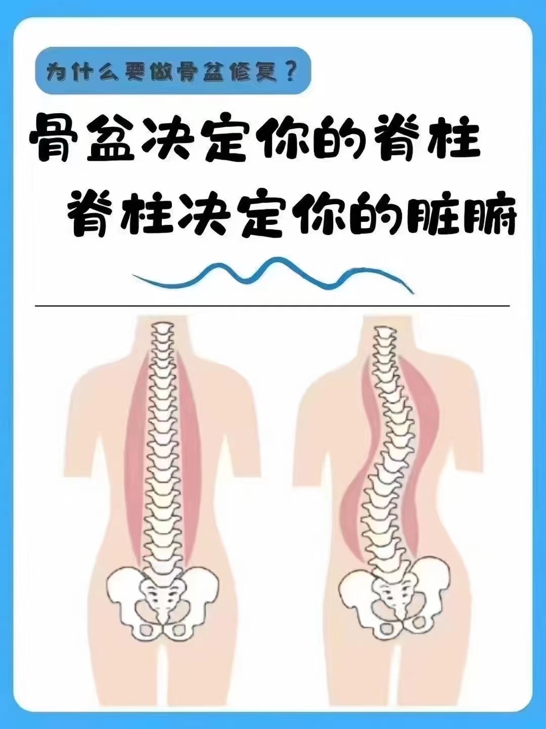 骨盆的重要标志图片