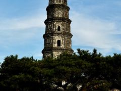 -鲁山国家森林公园