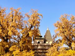 -北京石刻艺术博物馆(五塔寺)