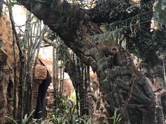 -龙达温泉生态城