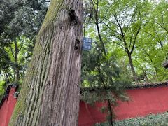 -武侯墓风景区