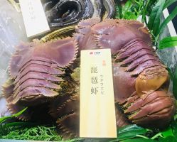 -北京柏悦酒店宴会厅