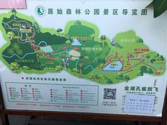 -西双版纳原始森林公园