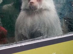 -无锡动物园·太湖欢乐园