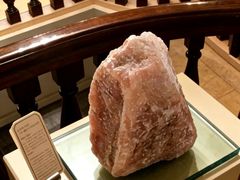 -领仕扒房(长春店)