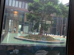 -上海崇明金茂凯悦酒店