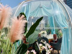 -享月汤皇·海鲜小火锅·聚会(曲江创意谷店)