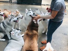 -TrueLove @ Neverland (Husky Cafe)