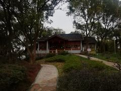 -上海市保健医疗中心