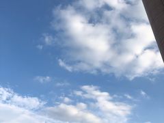 -南京维景国际大酒店(南京博物院店)