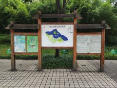 -新江湾城公园