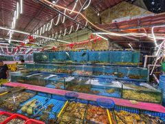 -西涌国际滨海旅游区