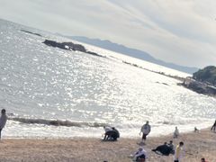 -八大关景区