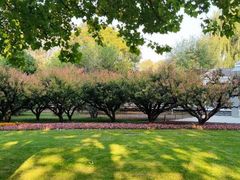 -长春市南湖公园