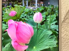 -超群咖啡葡式美食(南贵花园店)